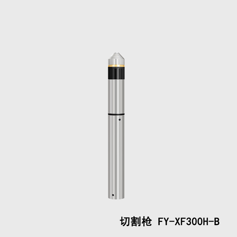 FY-XF300H-B